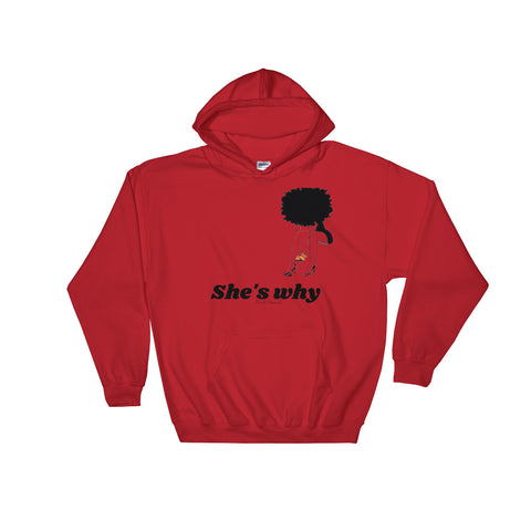 "Why We Do It" Hoodie